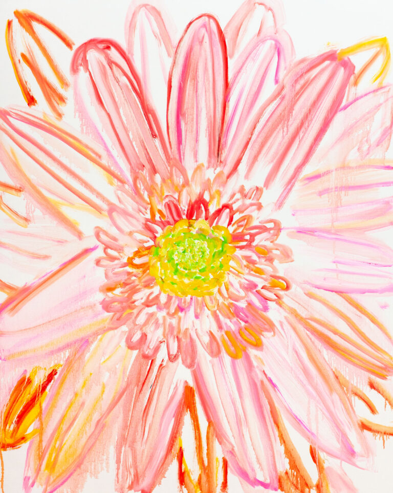 Gerbera